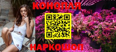 гашик Гусев