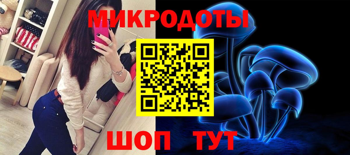 Псилоцибиновые грибы мицелий  Тайшет  Галлюциногенные грибы Psilocybe 